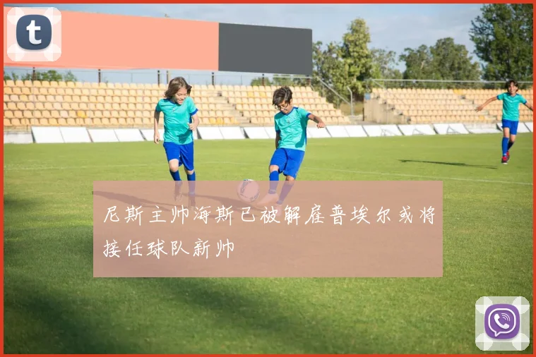 尼斯主帅海斯已被解雇普埃尔或将接任球队新帅